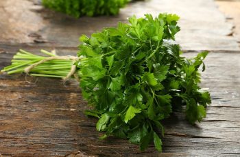 Cilantro-1